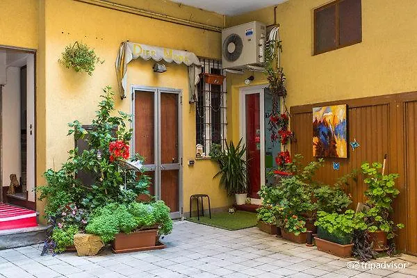 Central Hostel Milano Vandrerhjem Milano